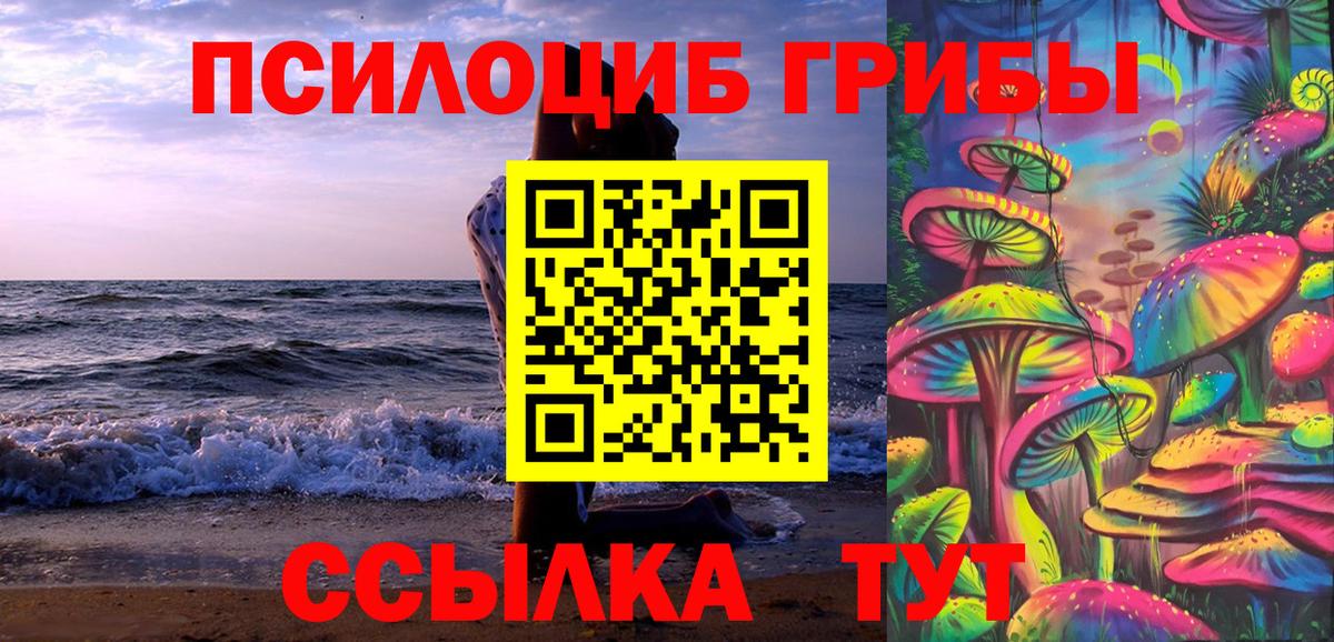 Псилоцибиновые грибы мухоморы Советск