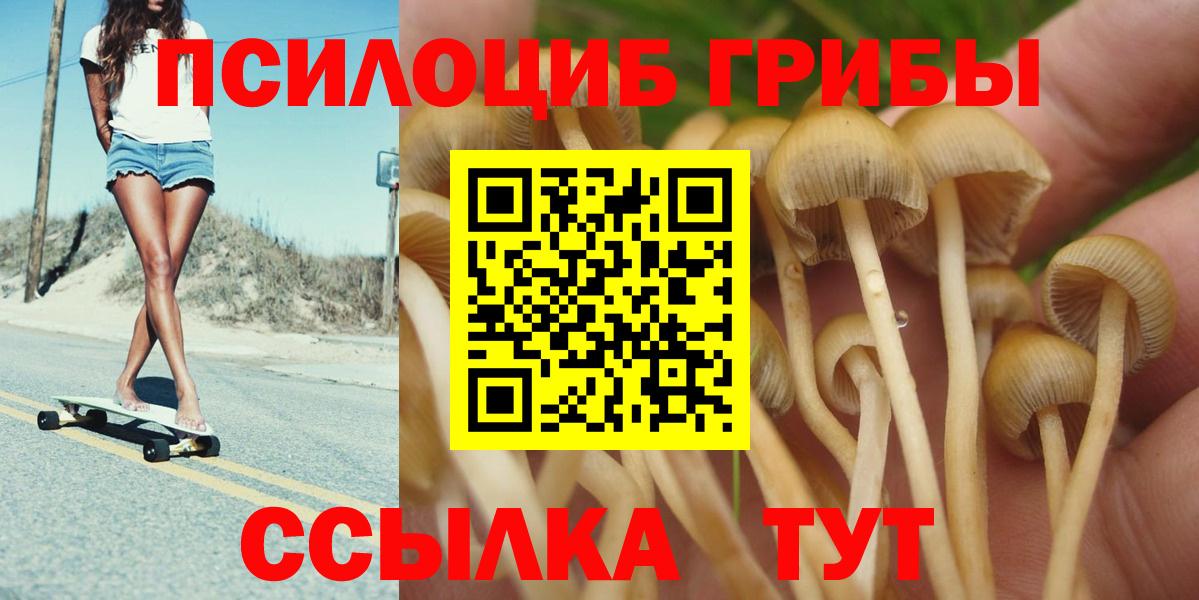 Советск  Галлюциногенные грибы мицелий  Псилоцибиновые грибы мухоморы  Вход с VPN 